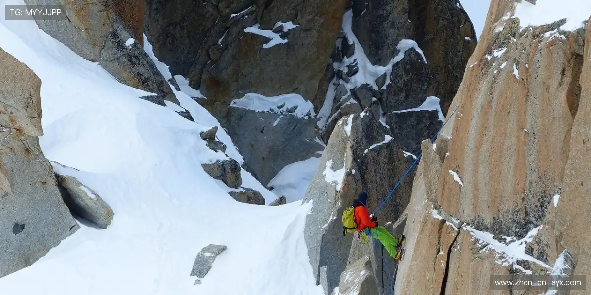 📱赛事切换次元级丝滑,像翻书一样快!⚡